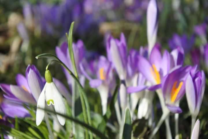 Thumbnail-Haus zum Kaufen in Seukendorf 583.000,00 € 250 m²