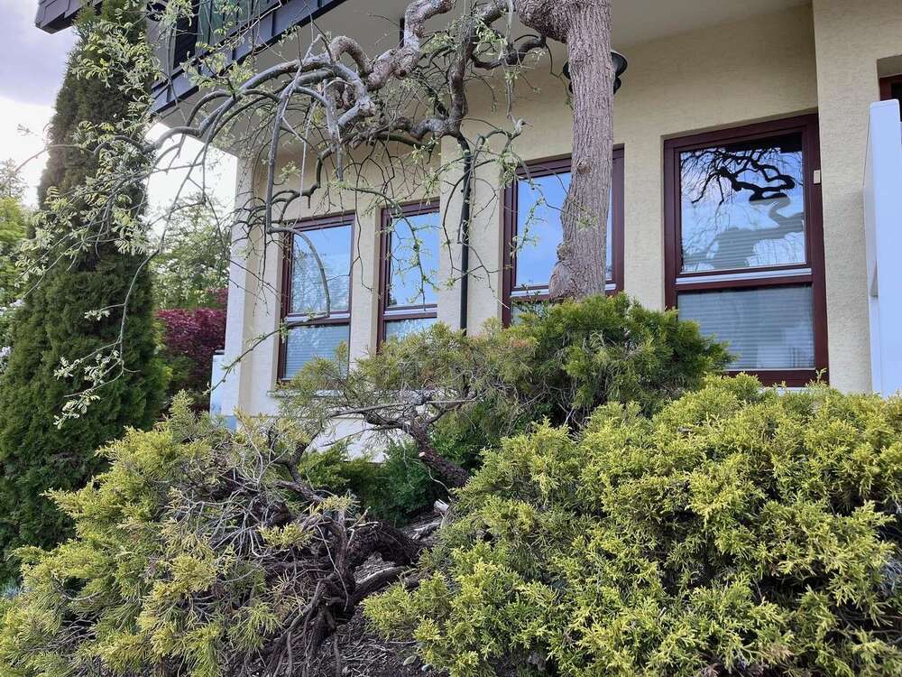 Thumbnail-Wohnung zum Kaufen in Königsfeld 290.000,00 € 98 m²