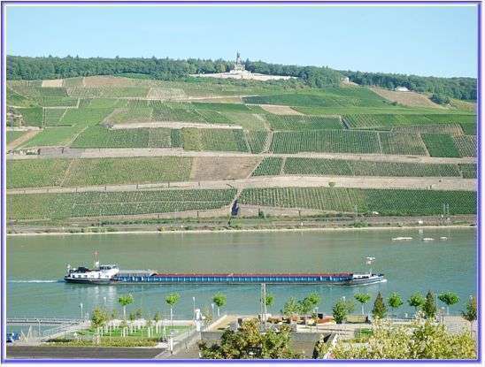 Thumbnail-Wohnung zum Kaufen in Bingen 589.000,00 € 140 m²