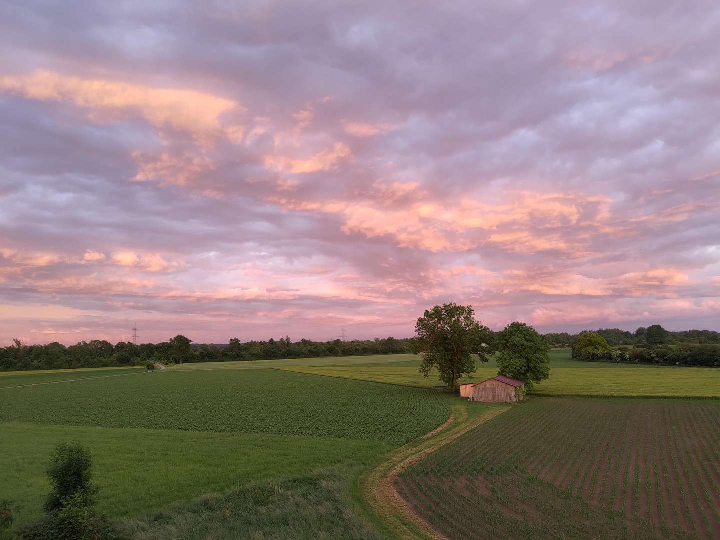 Thumbnail-Wohnung zum Kaufen in Langweid am Lech 169.000,00 € 40 m²