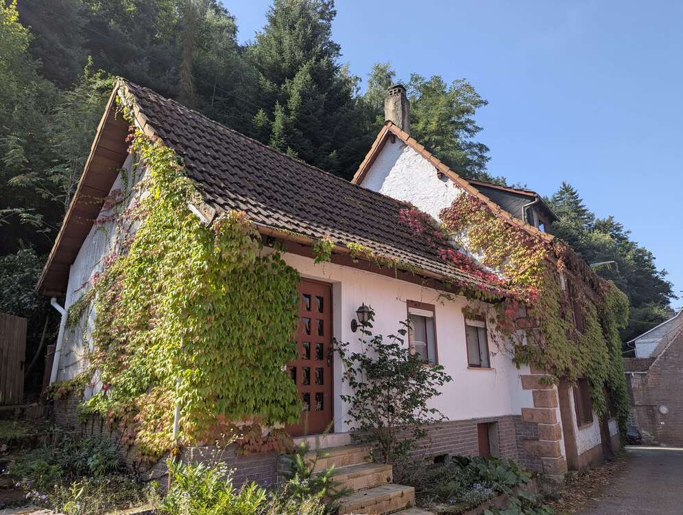 Thumbnail-Haus zum Kaufen in Vorderweidenthal 145.000,00 € 80 m²