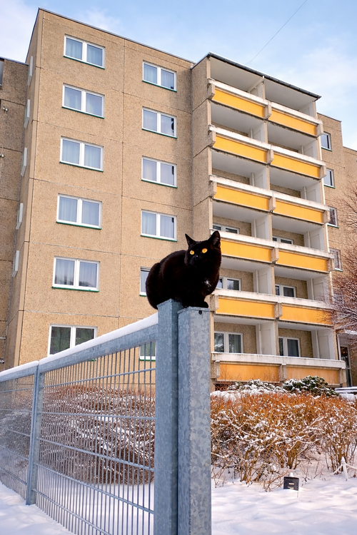 Thumbnail-Wohnung zum Mieten in Rötha 377,30 € 53.9 m²