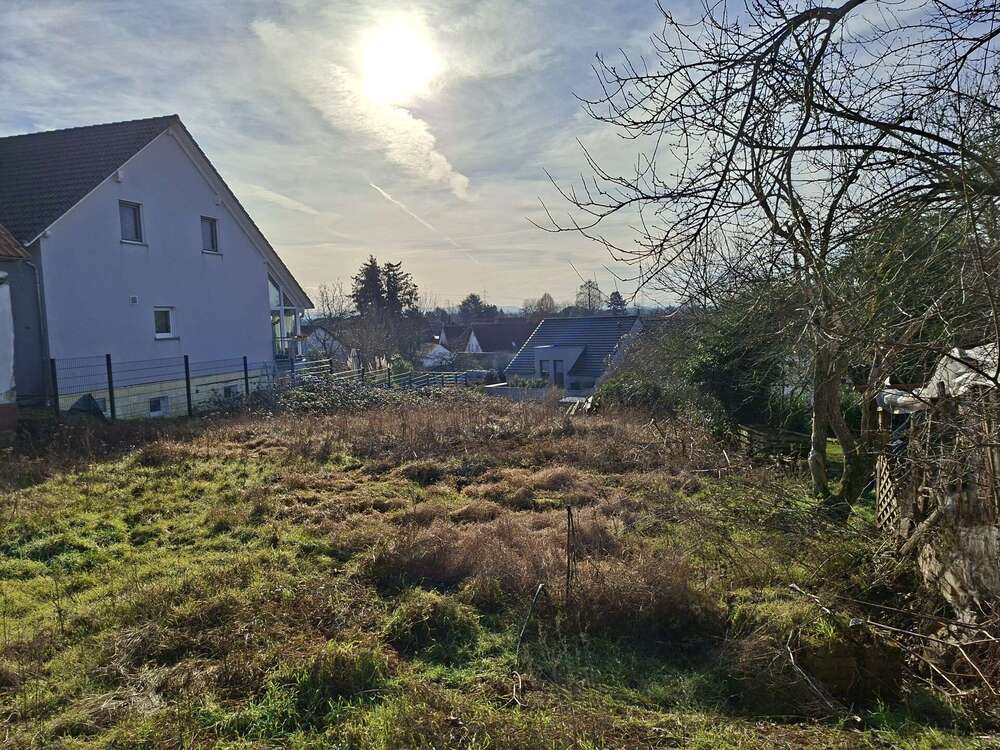 Thumbnail-Grundstück zu verkaufen in Eggenstein-Leopoldshafen 410.000,00 € 504 m²
