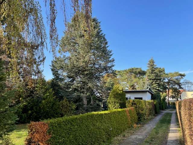 Thumbnail-Grundstück zu verkaufen in Grünheide 175.000,00 € 893 m²