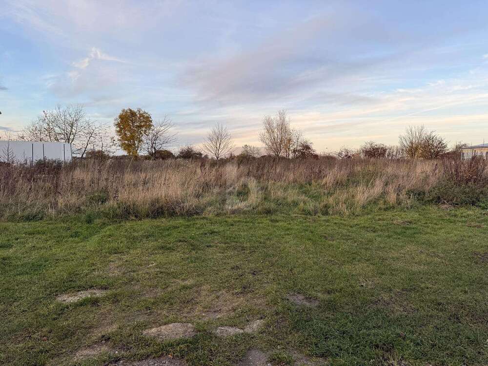 Thumbnail-Grundstück zu verkaufen in Langenberg 330.000,00 € 1000 m²