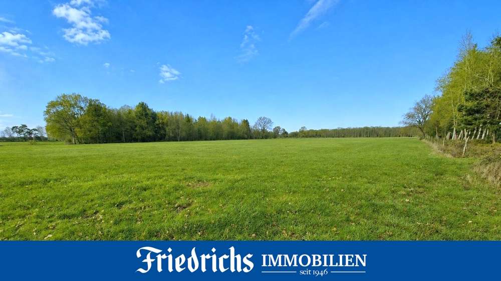 Thumbnail-Grundstück in Edewecht 179.000,00 € 81689 m²