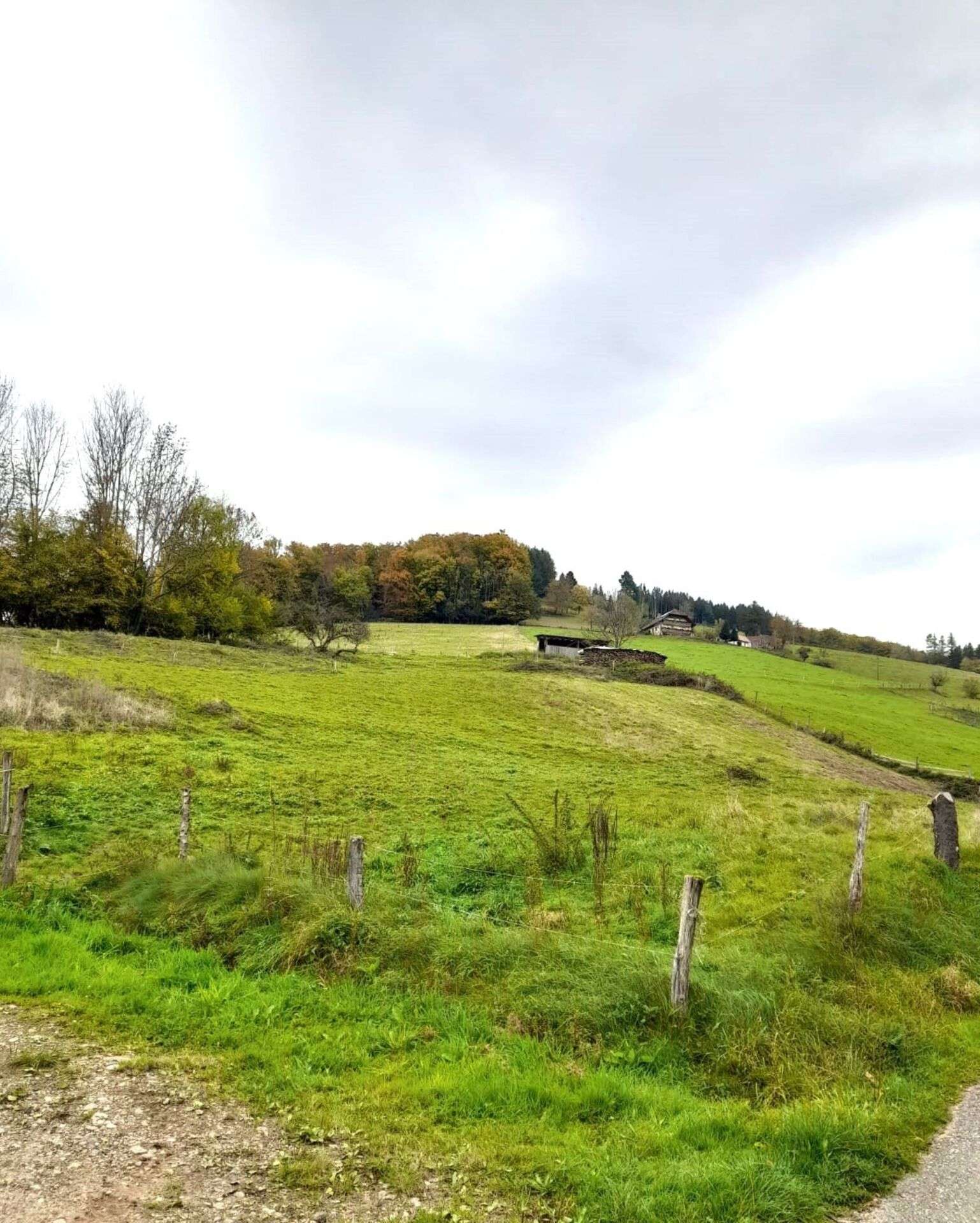 Thumbnail-Grundstück zu verkaufen in Elzach Katzenmoos 950.000,00 € 3600 m²