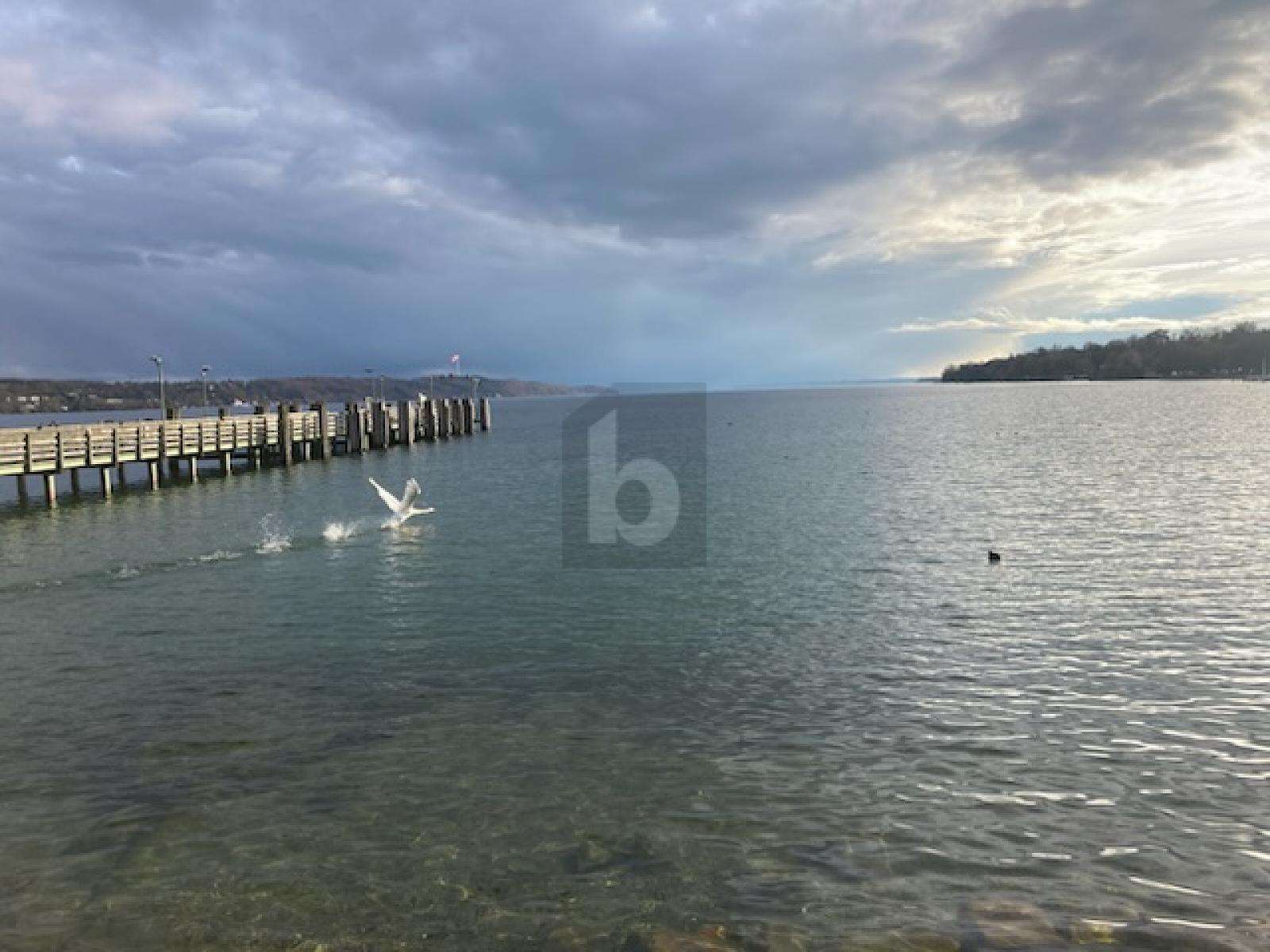 Thumbnail-Wohnung zum Kaufen in Starnberg 315.000,00 € 77 m²