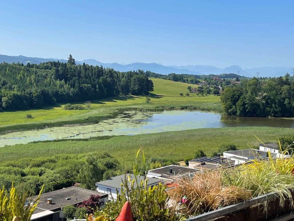 Thumbnail-Wohnung zum Kaufen in Wangen 295.000,00 € 102 m²