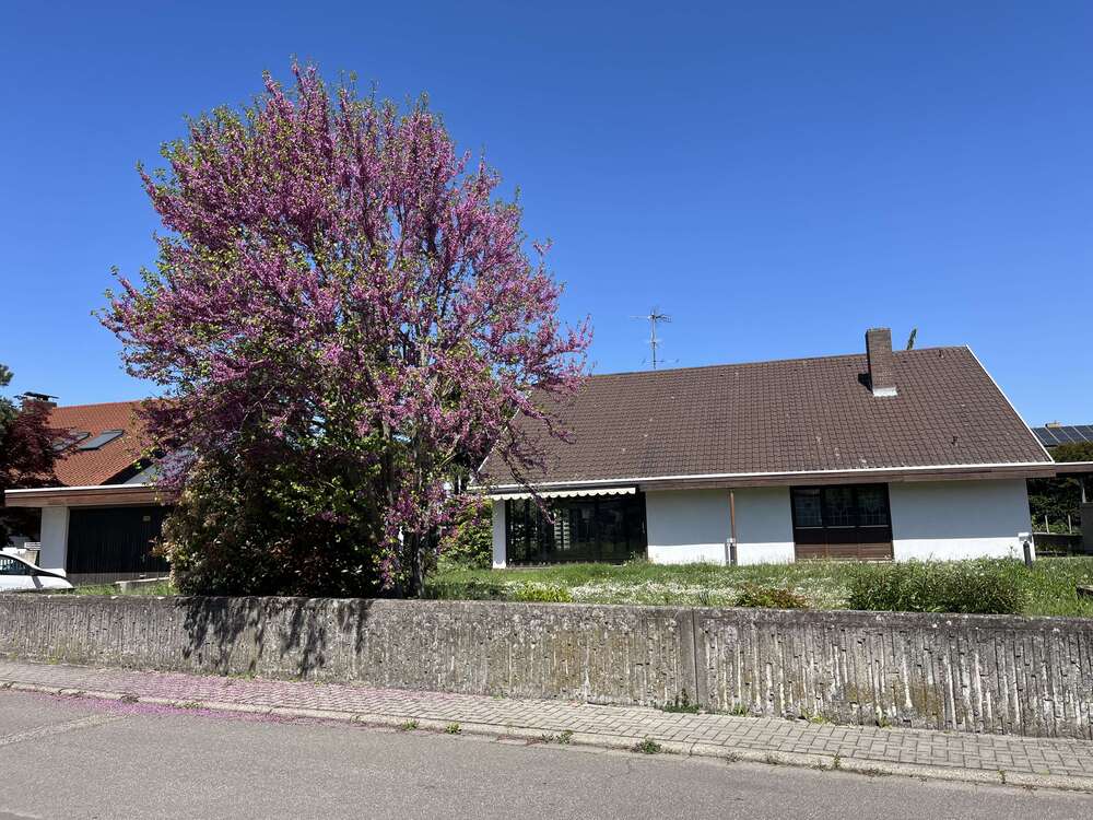 Thumbnail-Haus zum Kaufen in Landau 720.000,00 € 200 m²