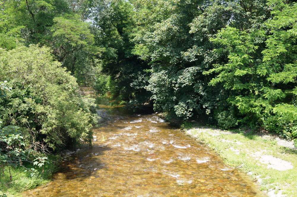 Thumbnail-Haus zum Kaufen in Bad Krozingen 736.000,00 € 125.51 m²