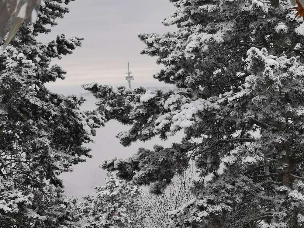 Thumbnail-Haus zum Kaufen in Glashütten 2.360.000,00 € 493 m²