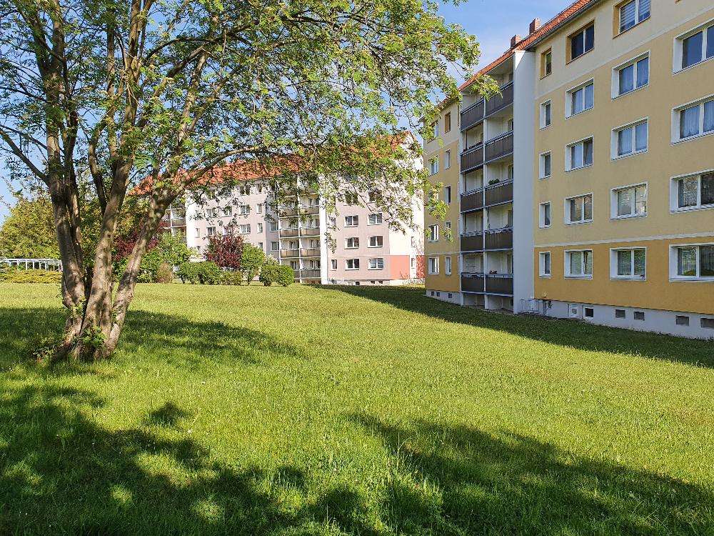 Thumbnail-Wohnung zum Mieten in Lichtentanne 315,00 € 58.1 m²