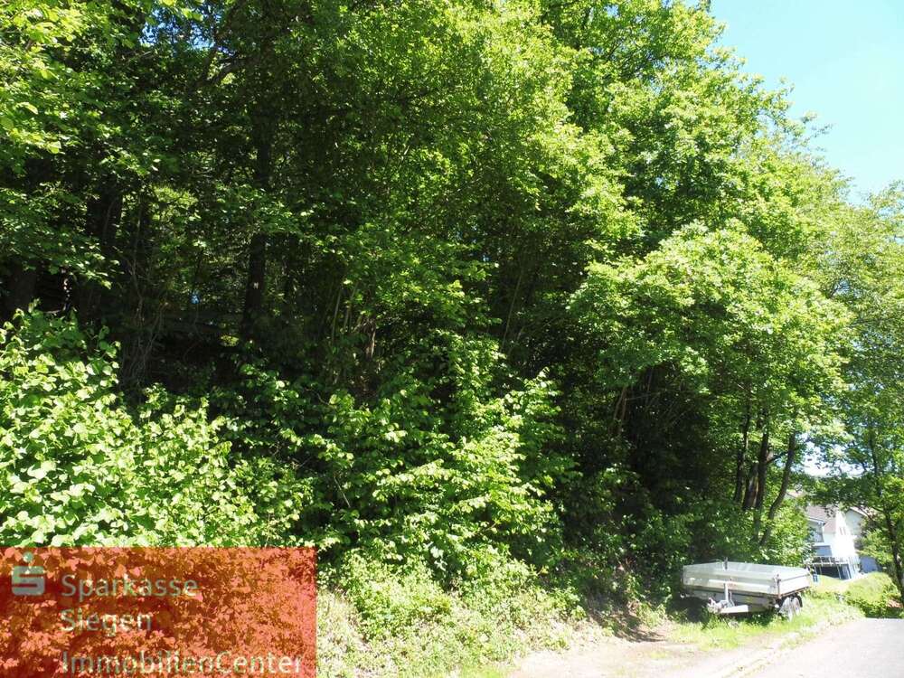 Thumbnail-Grundstück zu verkaufen in Netphen 59.000,00 € 451 m²