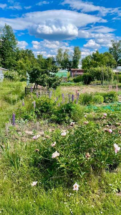 Thumbnail-Grundstück zu verkaufen in Frankfurt am Main 17.900,00 € 129 m²