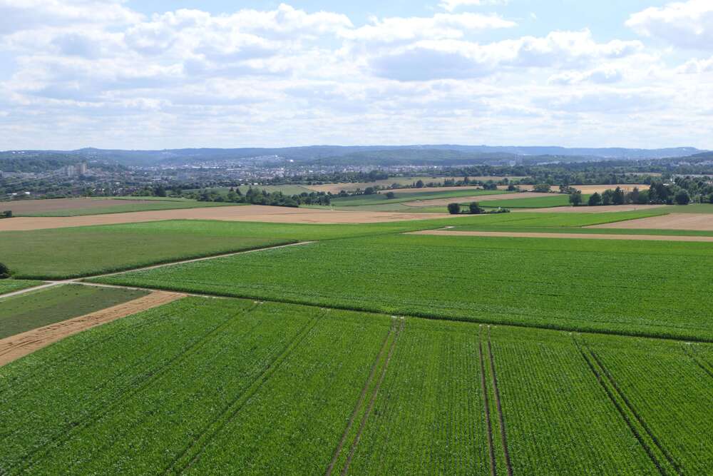 Thumbnail-Wohnung zum Kaufen in Kornwestheim 219.000,00 € 58 m²