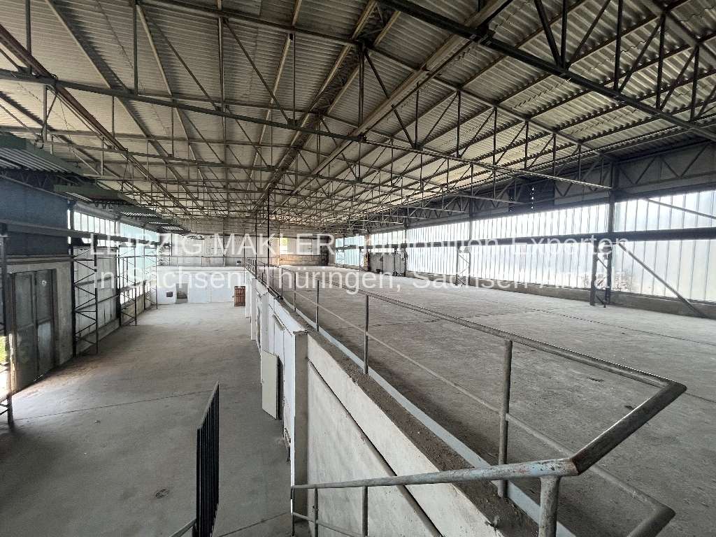 Thumbnail-Halle in Leipzig Dölitz-Dösen 3.000.000,00 € 3469 m²