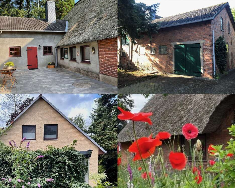 Thumbnail-Haus zum Kaufen in Schwanewede 599.000,00 € 300 m²