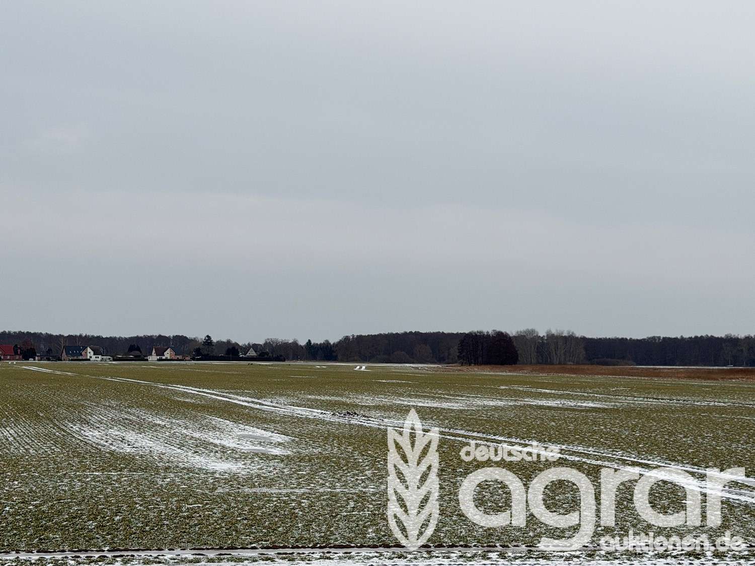 Thumbnail-Grundstück in Loitz 19.900,00 € 13703 m²