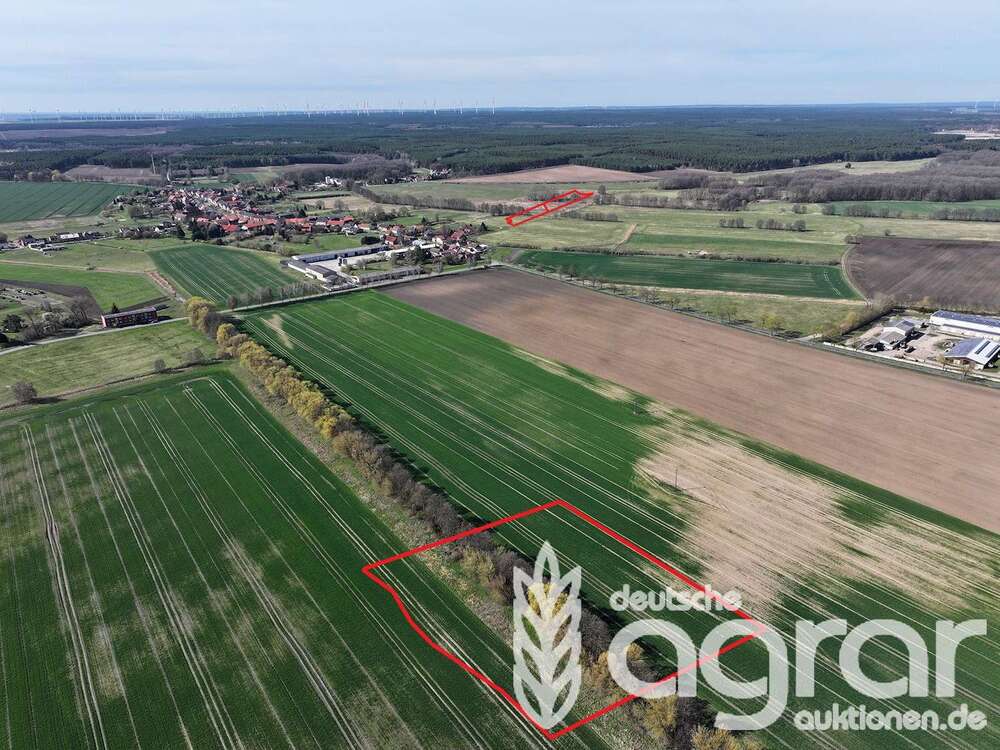 Thumbnail-Grundstück in Treuenbrietzen Bardenitz 20.900,00 € 21016 m²