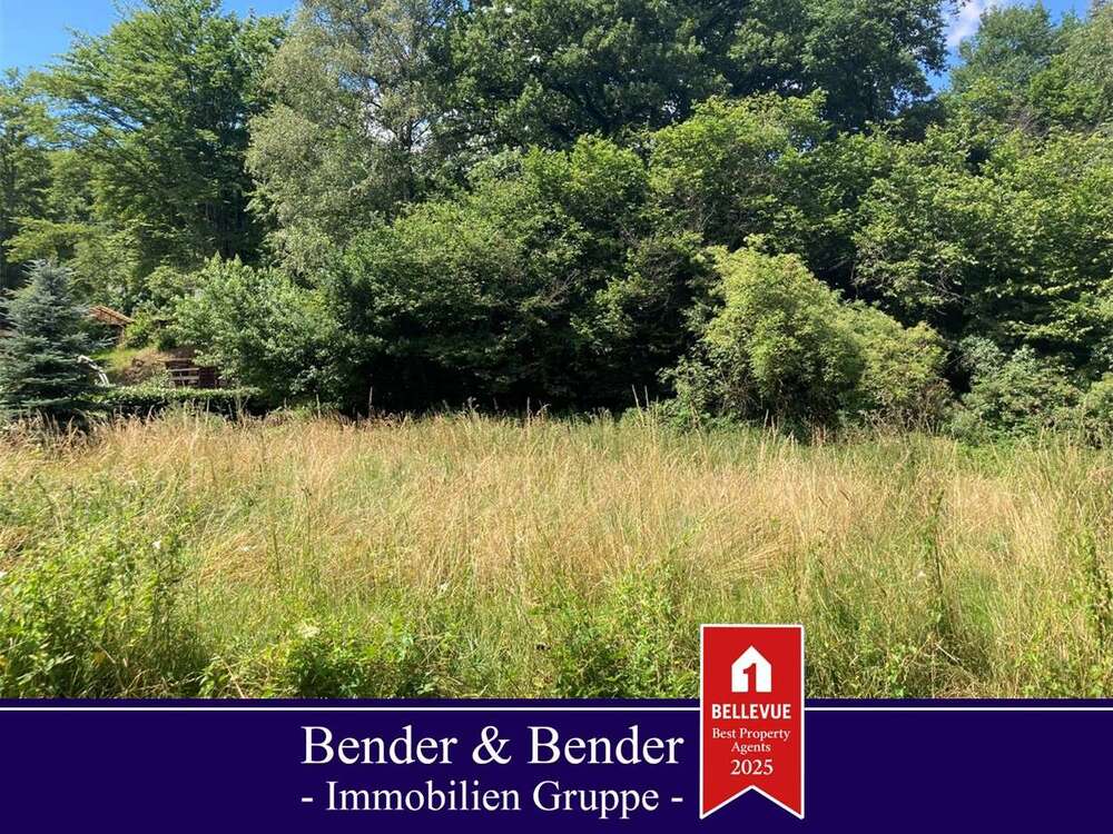 Thumbnail-Grundstück zu verkaufen in Windeck 149.000,00 € 2509 m²