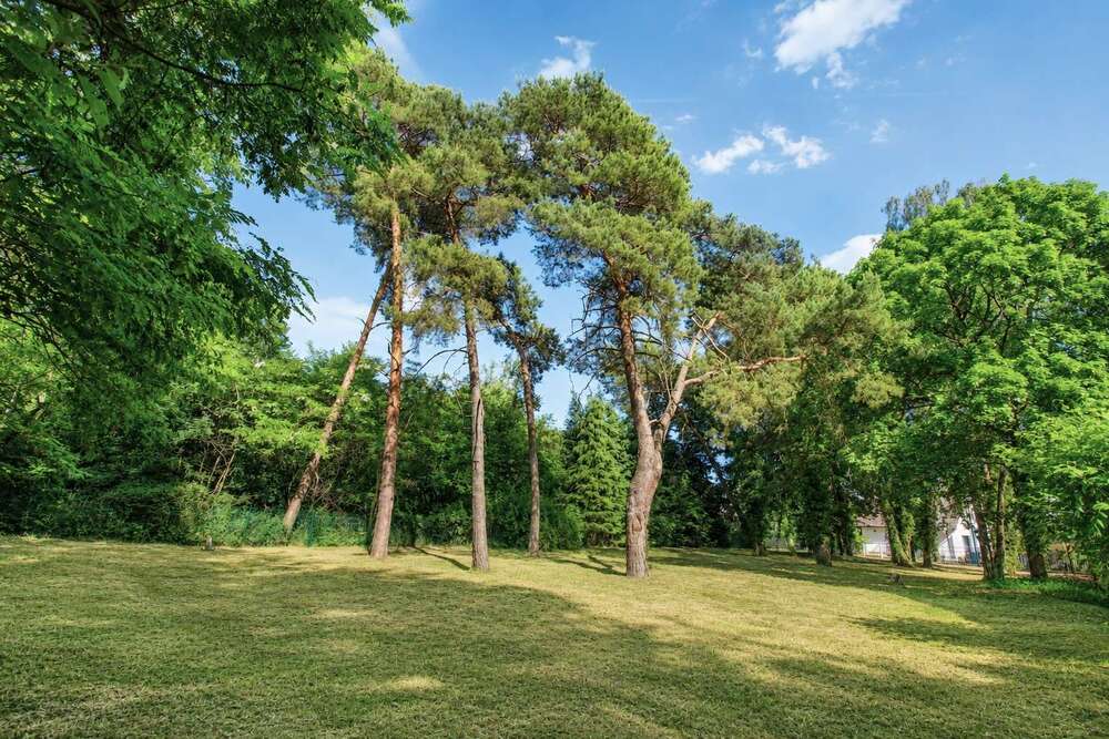 Thumbnail-Grundstück zu verkaufen in Königs Wusterhausen 299.900,00 € 1385 m²