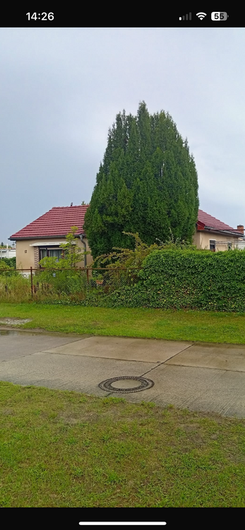 Thumbnail-Haus zum Kaufen in Berlin 329.000,00 € 85 m²