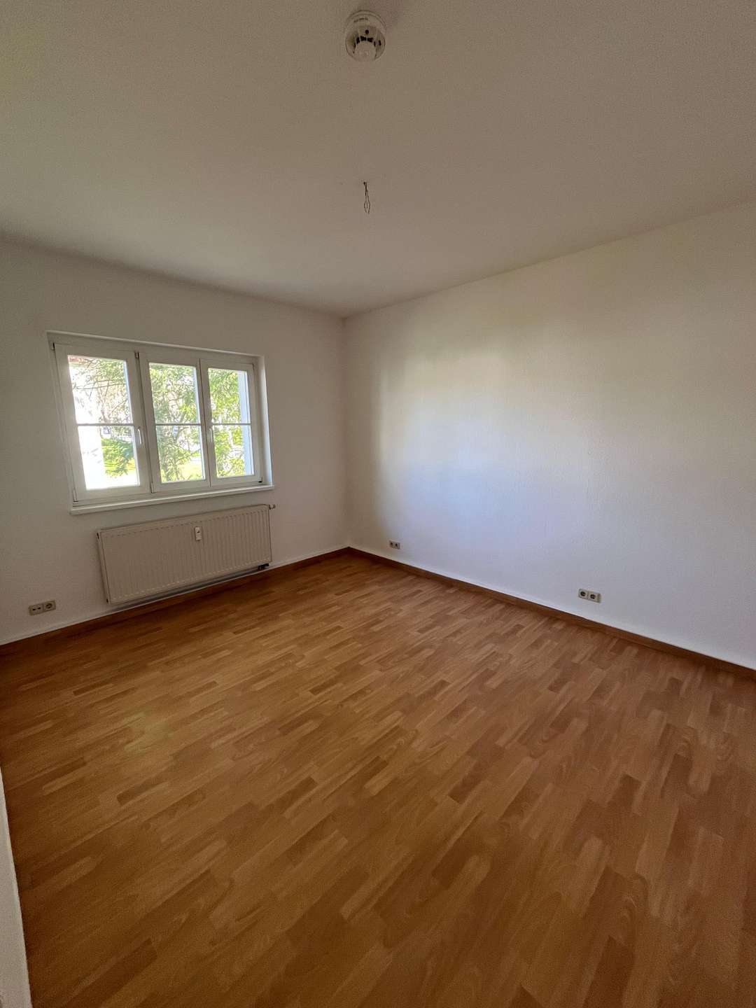 Thumbnail-Wohnung zum Mieten in Eberswalde 640,44 € 58.05 m²