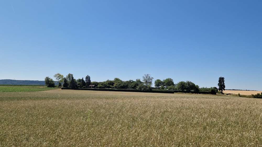 Thumbnail-Grundstück zu verkaufen in Leonberg 44.000,00 € 920 m²