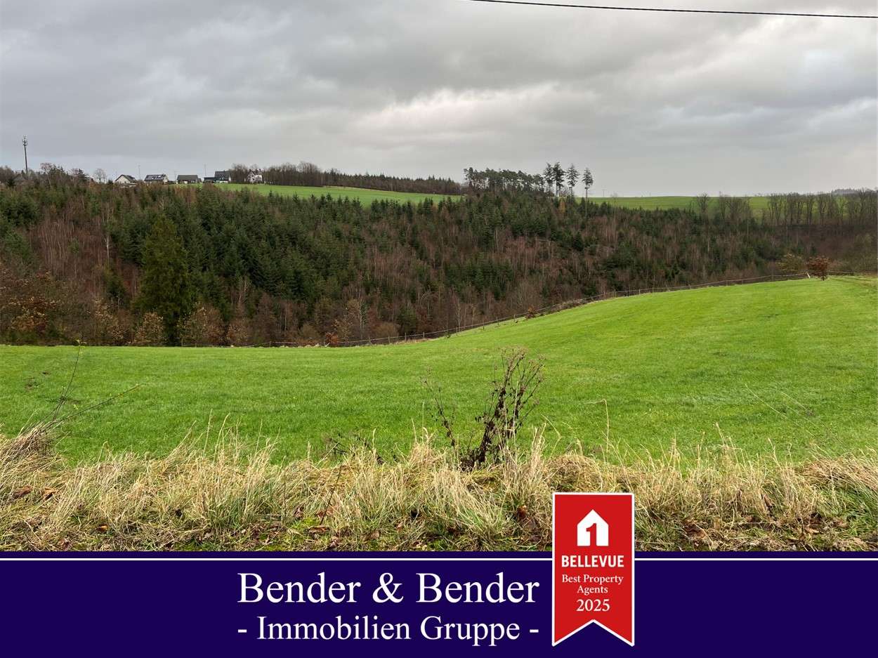 Thumbnail-Grundstück zu verkaufen in Birken-Honigsessen 118.000,00 € 2363 m²