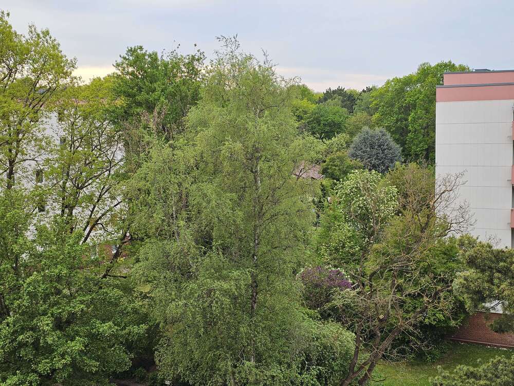 Thumbnail-Wohnung zum Kaufen in Nürnberg 349.900,00 € 98 m²