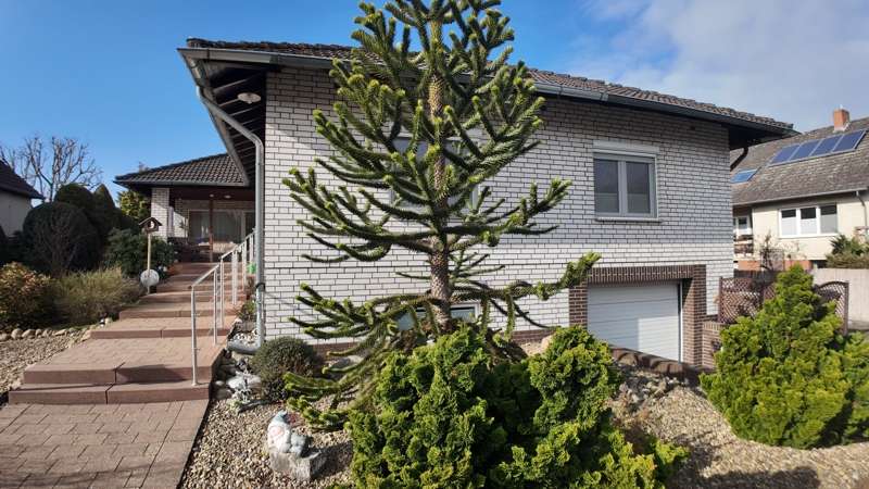 Thumbnail-Haus zum Kaufen in Gifhorn 465.000,00 € 149 m²