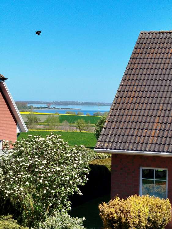 Thumbnail-Haus zum Kaufen in Wismar 497.000,00 € 188 m²