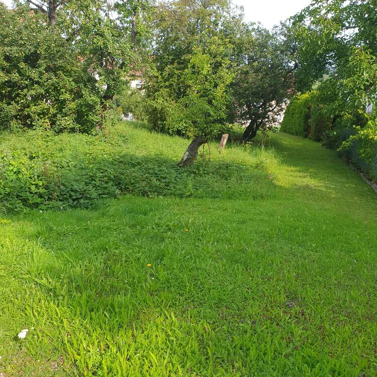 Thumbnail-Grundstück zu verkaufen in Kieselbronn 415.000,00 € 756 m²