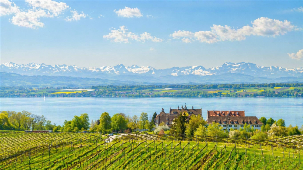 Thumbnail-Wohnung zum Kaufen in Immenstaad am Bodensee 1.870.000,00 € 207 m²