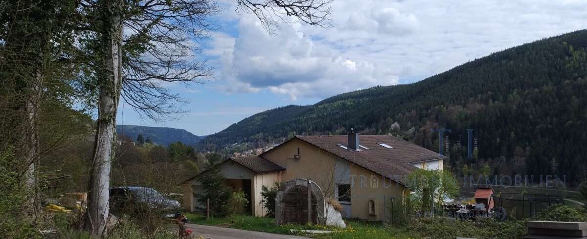 Thumbnail-Haus zum Kaufen in Bad Wildbad 599.000,00 € 237 m²