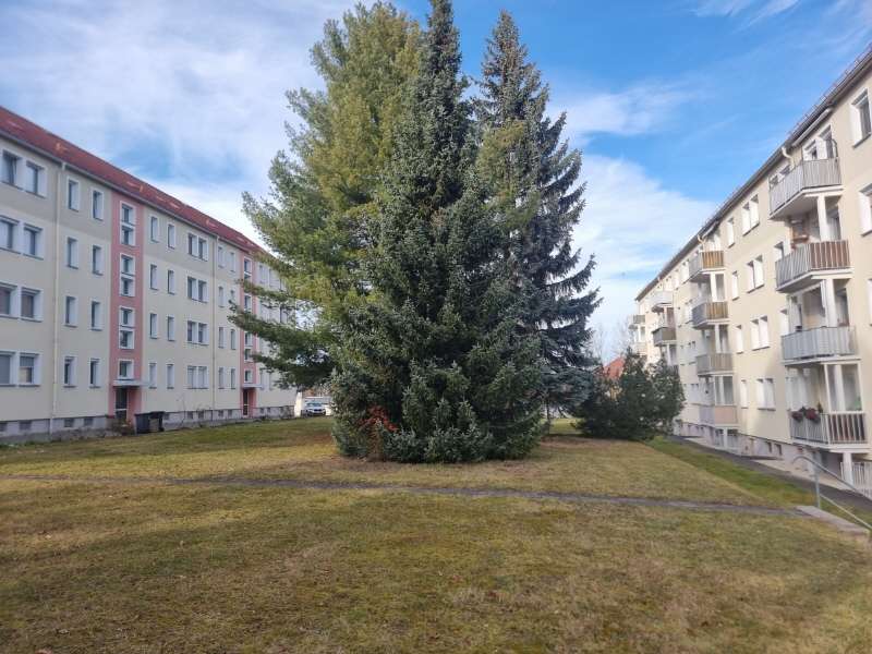 Thumbnail-Wohnung zum Kaufen in Crimmitschau 29.000,00 € 59.1 m²