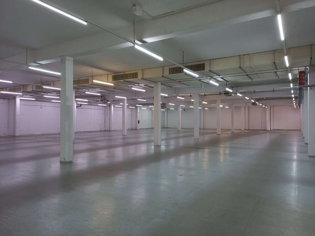 Thumbnail-Halle in Grimma 4.774,32 € 1465.29 m²