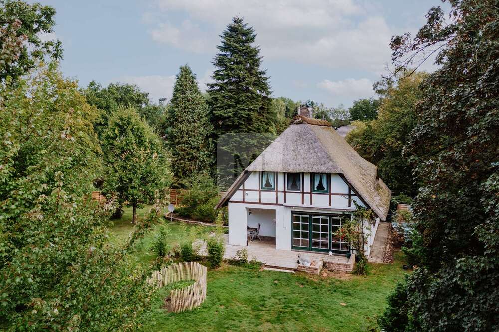 Thumbnail-Haus zum Kaufen in Neetze Süttorf 445.000,00 € 130 m²