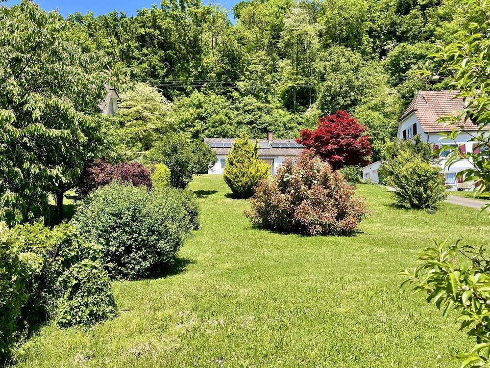 Thumbnail-Haus zum Kaufen in Grenzach-Wyhlen 1.200.000,00 € 200 m²