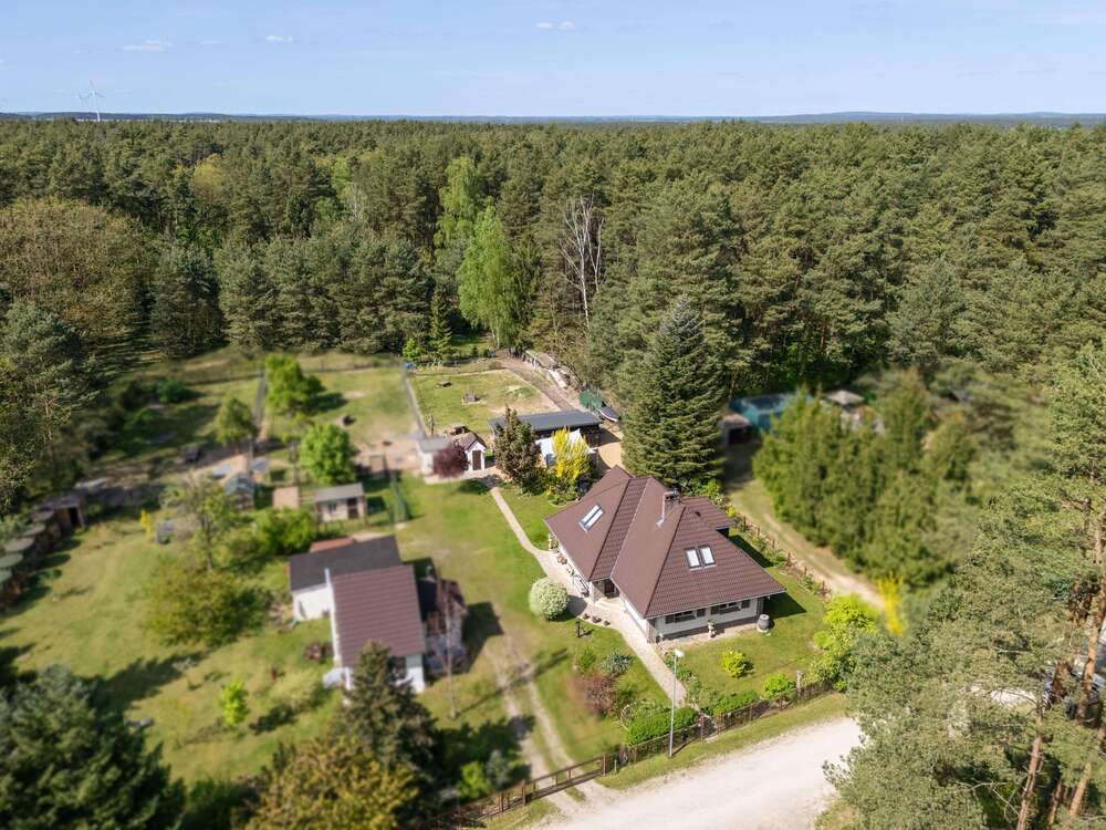 Thumbnail-Haus zum Kaufen in Kloster Lehnin 549.000,00 € 140 m²