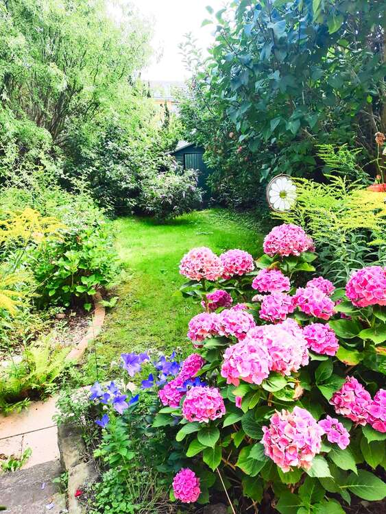 Thumbnail-Haus zum Kaufen in Berlin 435.000,00 € 106 m²