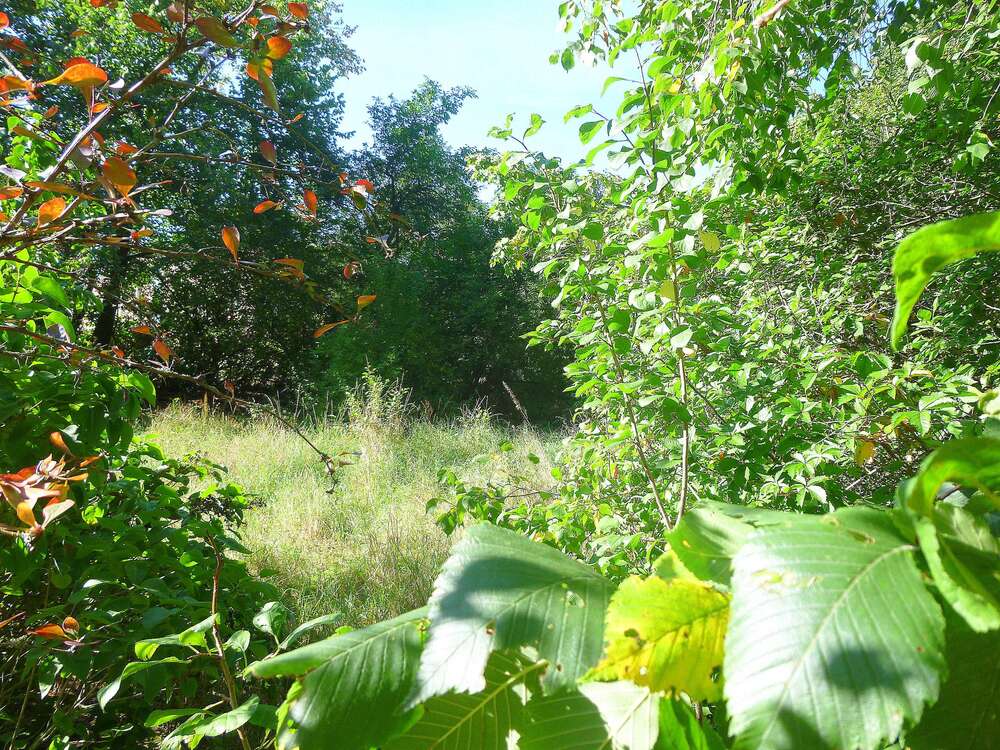 Thumbnail-Grundstück zu verkaufen in Oranienburg 196.000,00 € 868 m²