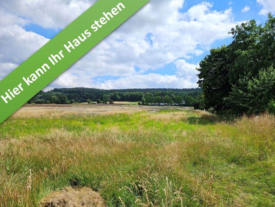 Thumbnail-Haus zum Kaufen in Altenhagen 331.850,00 € 109 m²
