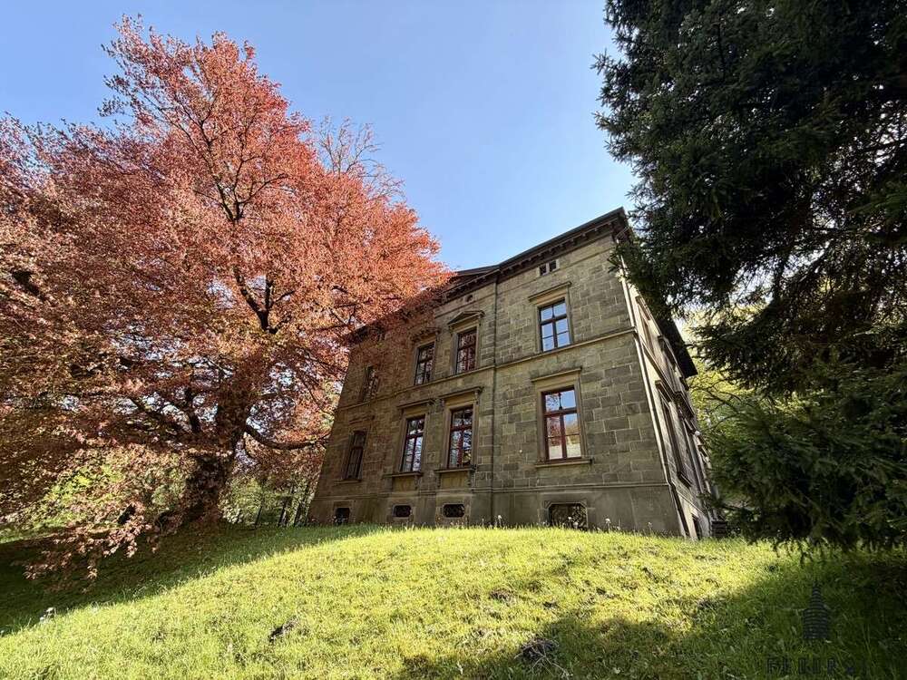 Thumbnail-Haus zum Kaufen in Remscheid 1.490.000,00 € 444 m²