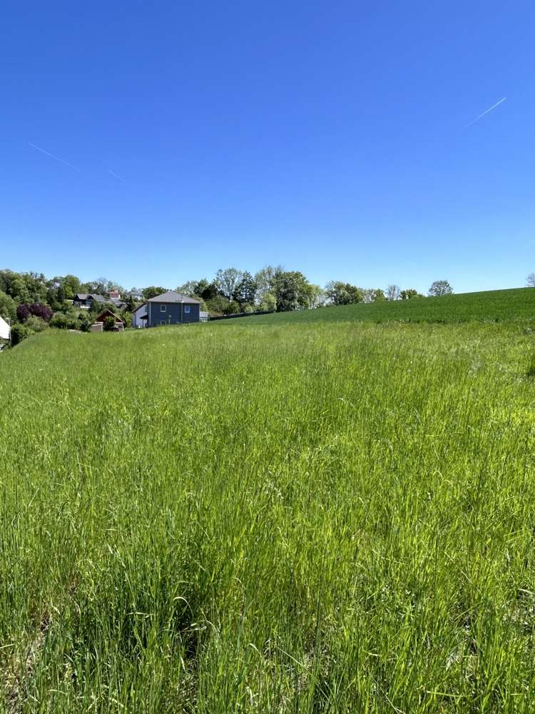 Thumbnail-Grundstück zu verkaufen in Lautertal 187.000,00 € 1100 m²