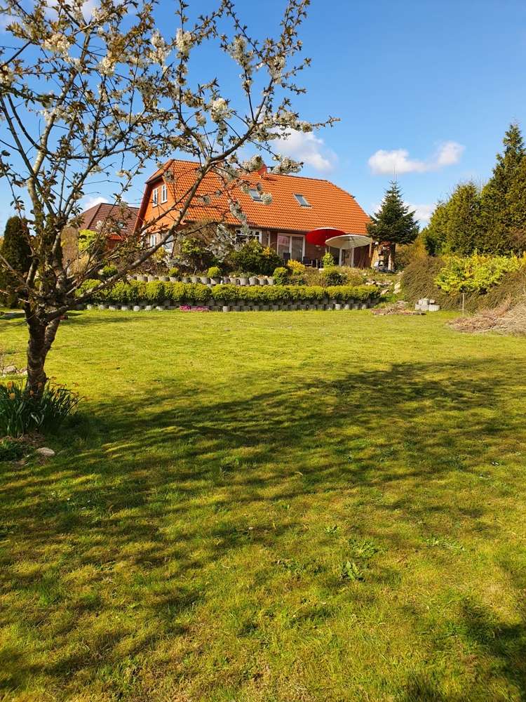 Thumbnail-Haus zum Kaufen in Albersdorf 495.000,00 € 165 m²