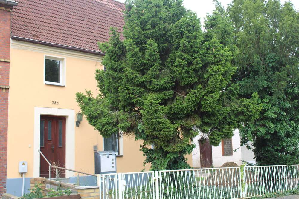 Thumbnail-Haus zum Kaufen in Dommitzsch 69.000,00 € 90 m²