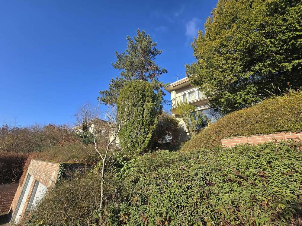 Thumbnail-Haus zum Kaufen in Triefenstein 485.000,00 € 300 m²