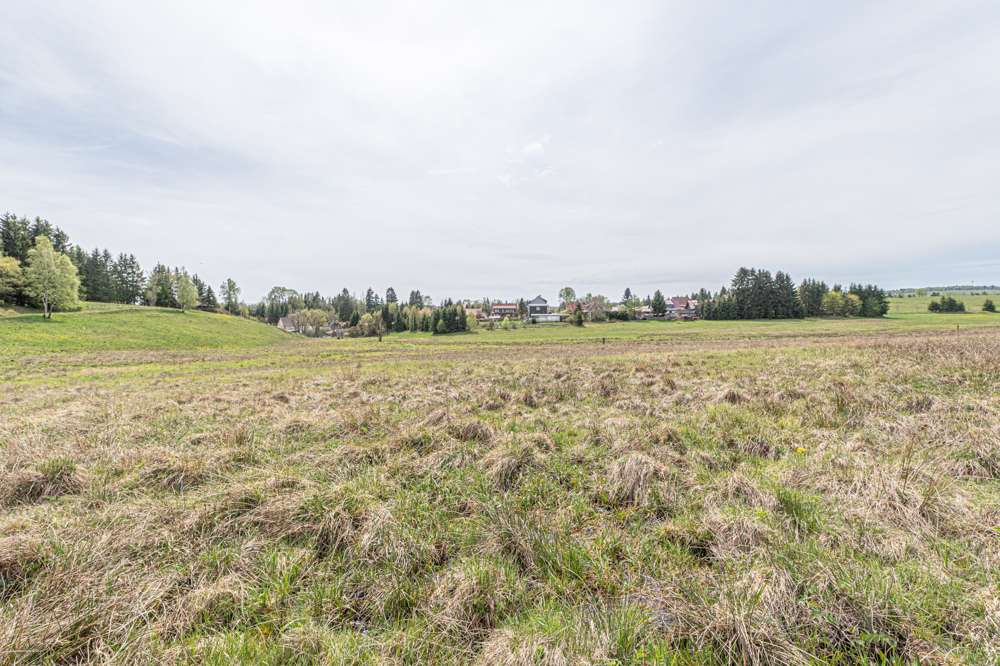 Thumbnail-Grundstück zu verkaufen in Benneckenstein 449.700,00 € 10855 m²